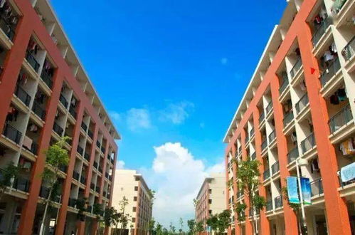 重磅 金灣爆發(fā),多盤房價(jià)破3萬 地鐵 直通橫琴 下一個(gè)珠海市中心來了