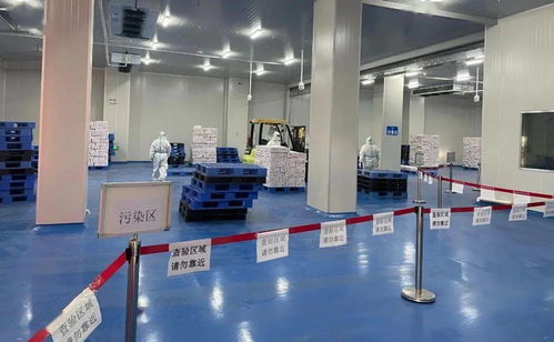 筑牢冷鏈食品安全防線 珠海西域碼頭開展進口冷鏈預(yù)防性全面消毒工作