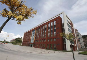 珠海金灣5所本科高校投檔線公布，職業(yè)教育培訓(xùn)助力學(xué)子成才